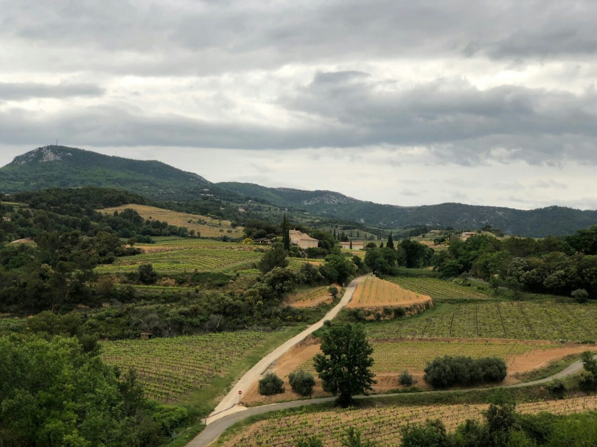 paysage de Provence